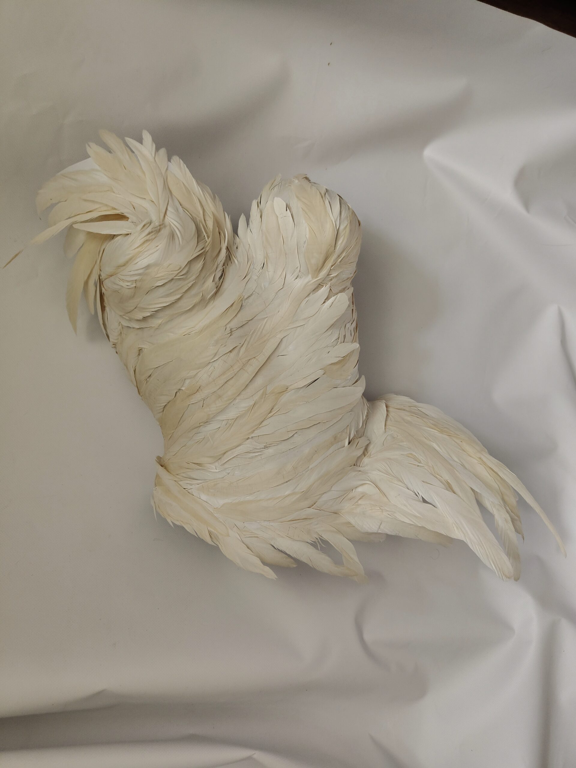 Ivory Swan Corset — изображение 4