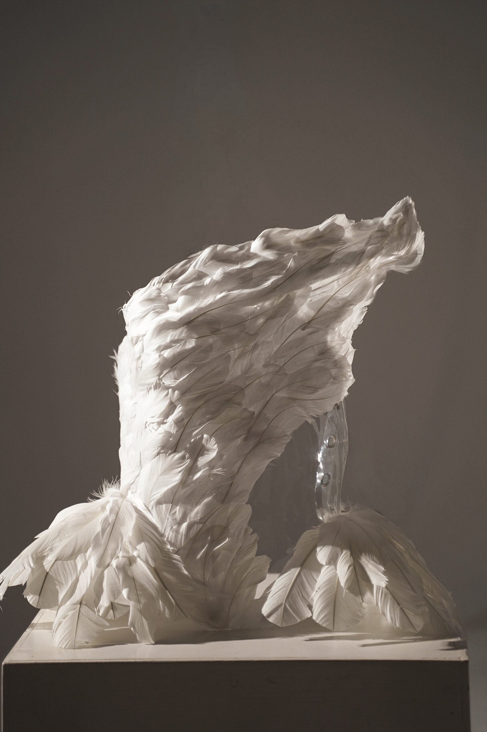 White Feather Sculpture